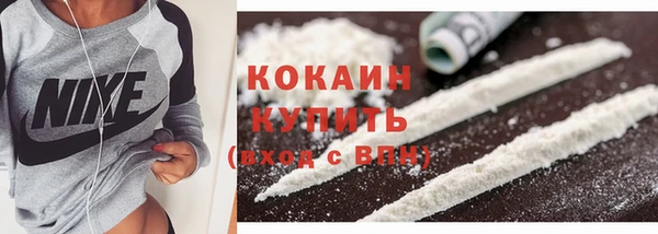 хмурый Бородино