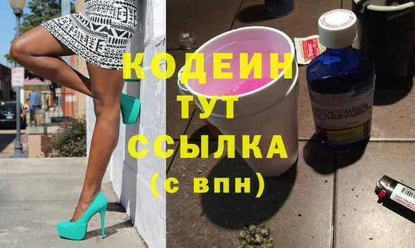 хмурый Бородино