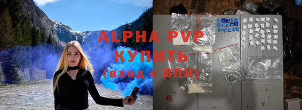 хмурый Бородино