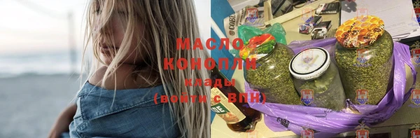 хмурый Бородино