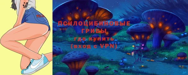 хмурый Бородино