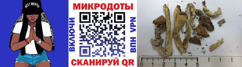 Псилоцибиновые грибы прущие грибы Ворсма
