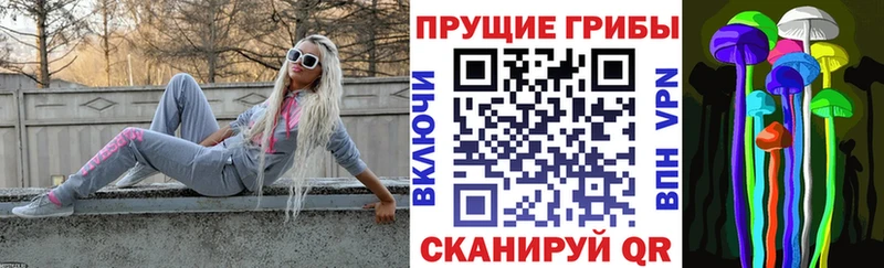 Псилоцибиновые грибы мухоморы  хочу   Ворсма 